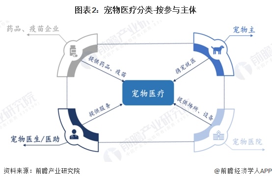 图表2：宠物医疗分类-按参与主体