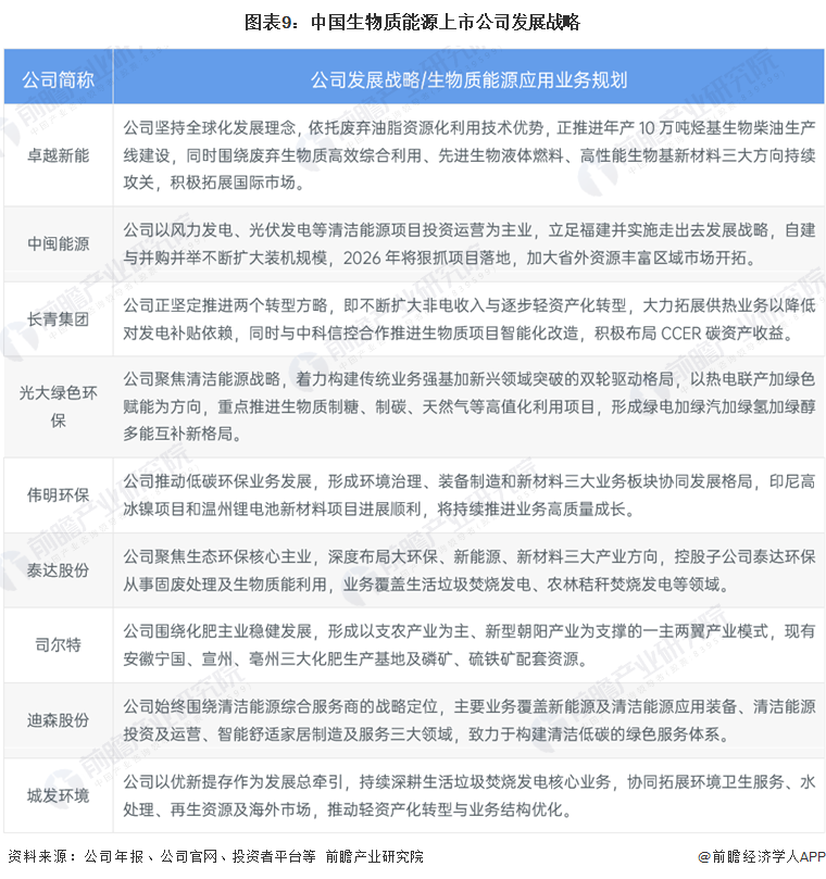 图表9：中国生物质能源上市公司发展战略