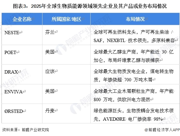 图表3:2025年全球生物质能源领域领先企业及其产品或业务布局情况