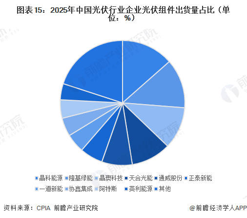 图表15:2025年中国光伏行业企业光伏组件出货量占比(单位:%)