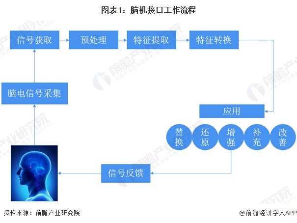 图表1：脑机接口工作流程