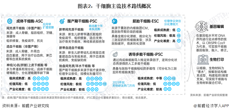 图表2:干细胞主流技术路线概况