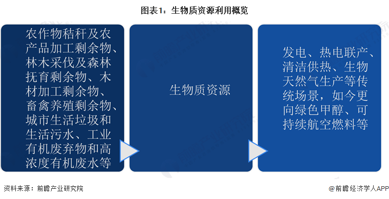 图表1：生物质资源利用概览