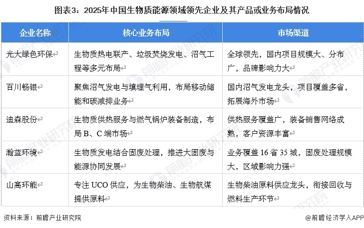 图表3：2025年中国生物质能源领域领先企业及其产品或业务布局情况