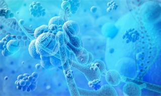 一个被讨论10年的赛道，终于开始赚钱了！（附白皮书下载）