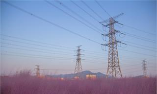 <em>电力</em>行业“自主化运维”时代来了！国家<em>电网</em>将豪掷68亿采购具身智能<em>设备</em>【附人形机器人行业市场分析】