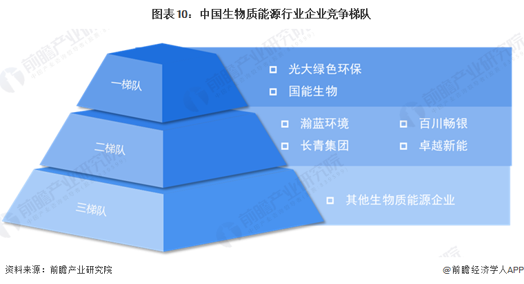 图表10：中国生物质能源行业企业竞争梯队