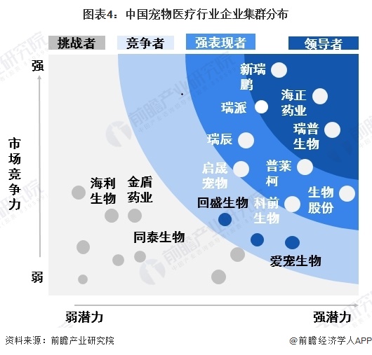 图表4：中国宠物医疗行业企业集群分布