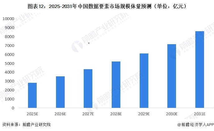 图表12：2025-2031年中国数据要素市场规模体量预测（单位：亿元）