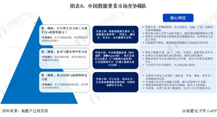 图表8：中国数据要素市场竞争梯队  