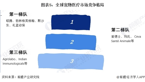 图表5：全球宠物医疗市场竞争格局