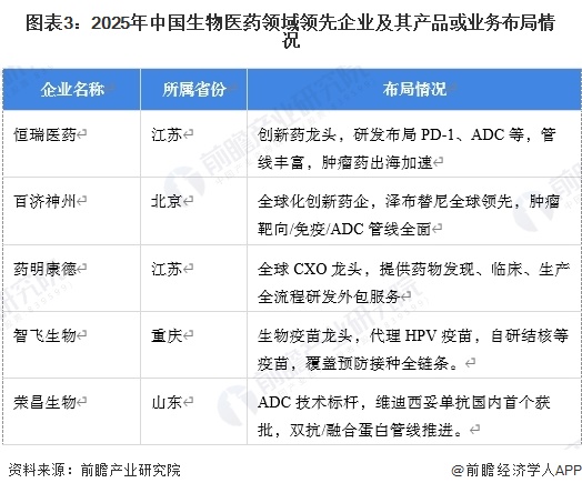 图表3：2025年中国生物医药领域领先企业及其产品或业务布局情况