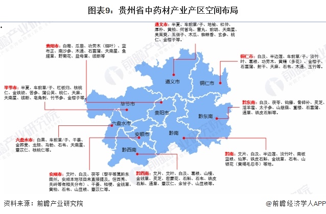 图表9：贵州省中药材产业产区空间布局