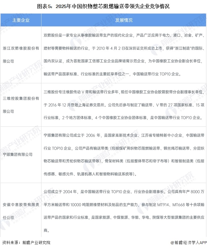 图表5：2025年中国织物整芯阻燃输送带领先企业竞争情况