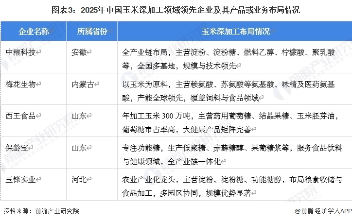 图表3：2025年中国玉米深加工领域领先企业及其产品或业务布局情况