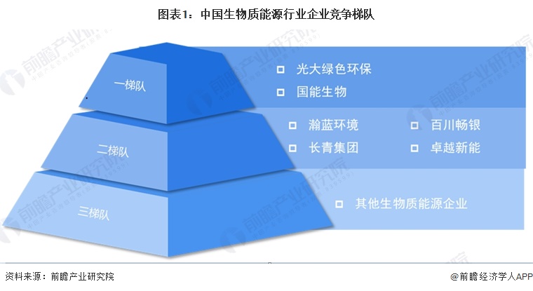图表1：中国生物质能源行业企业竞争梯队