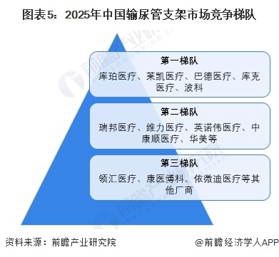 图表5：2025年中国输尿管支架市场竞争梯队  
