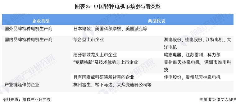图表3：中国特种电机市场参与者类型