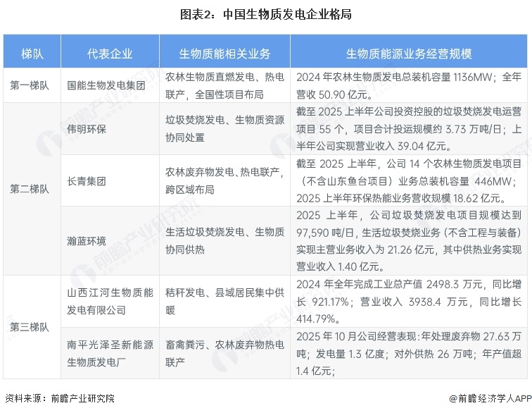图表2:中国生物质发电企业格局