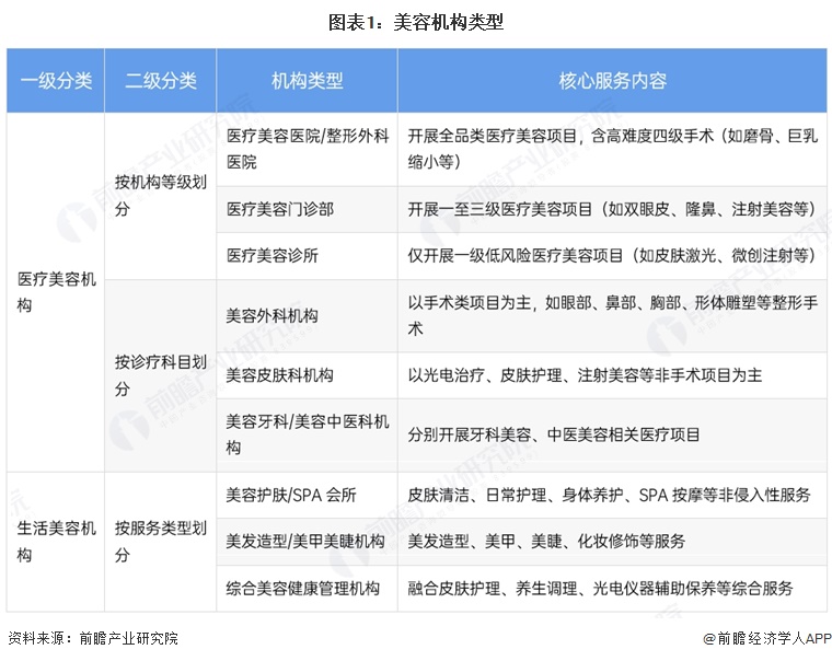 图表1:美容机构类型