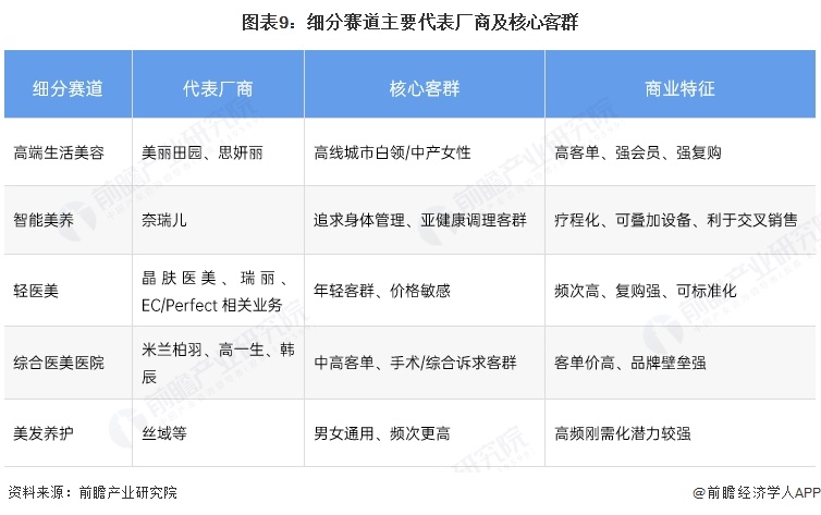 图表9:细分赛道主要代表厂商及核心客群