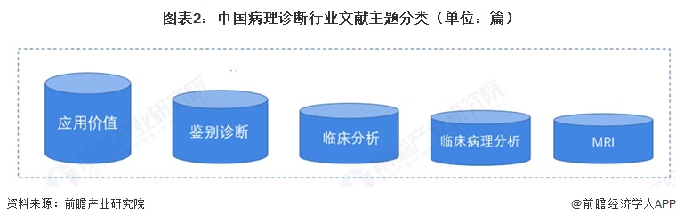 图表2：中国病理诊断行业文献主题分类（单位：篇）