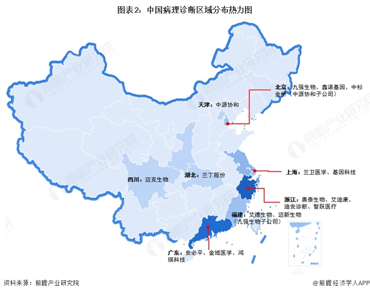 图表2：中国病理诊断区域分布热力图