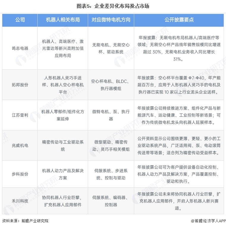图表5:企业差异化布局抢占市场