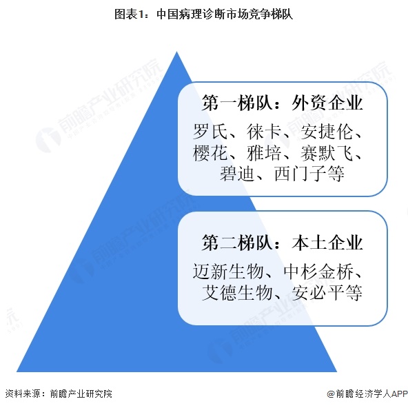 图表1：中国病理诊断市场竞争梯队