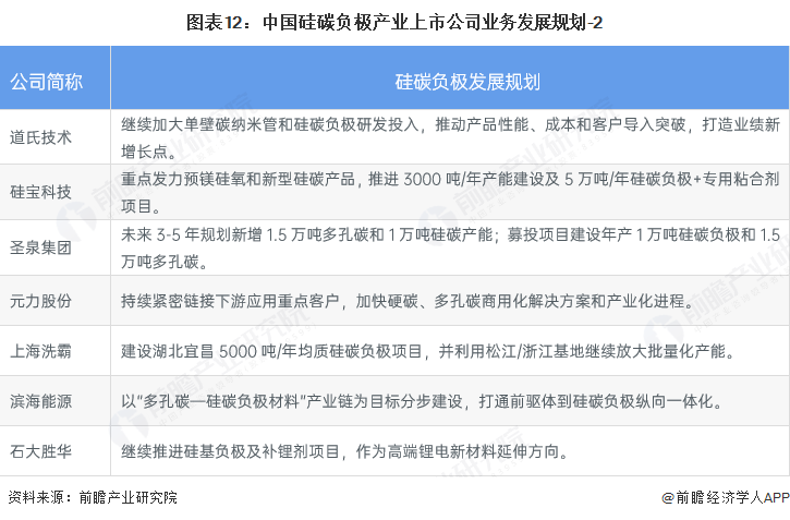 图表12:中国硅碳负极产业上市公司业务发展规划-2