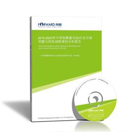 2015-2020年中国铅酸蓄电池行业市场前瞻与投资战略规划分析报告