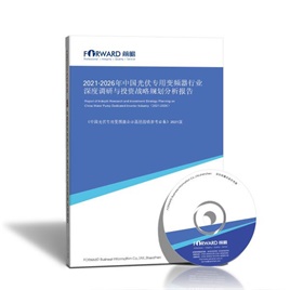 2023-2028年中国光伏专用变频器行业深度调研与投资战略规划分析报告