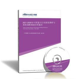2023-2028年中国薯片行业深度调研与投资战略规划分析报告