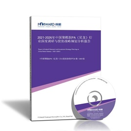 2024-2029年中国聚酰胺PA（尼龙）行业深度调研与投资战略规划分析报告