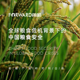 全球粮食危机背景下的中国粮食安全
