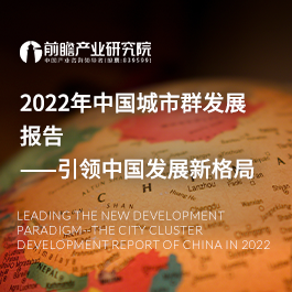 2022年中国城市群发展报告——引领中国发展新格局