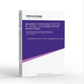 2024-2029年中国核电用高中压转子锻件（发电机）行业市场前瞻与投资战略规划分析报告