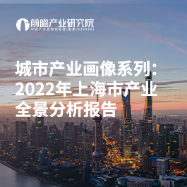 城市產業畫像系列：2022年上海市產業全景分析報告