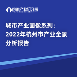 城市產業畫像系列：2022年杭州市產業全景分析報告