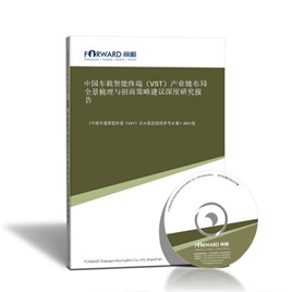 中国车载智能终端（VST）产业链布局全景梳理与招商策略建议深度研究报告
