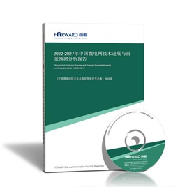2024-2029年中国微电网技术进展与前景预测分析报告