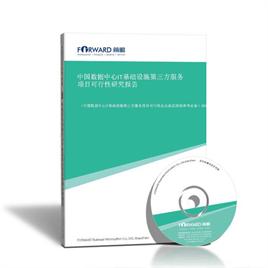 中国数据中心IT基础设施第三方服务项目可行性研究报告