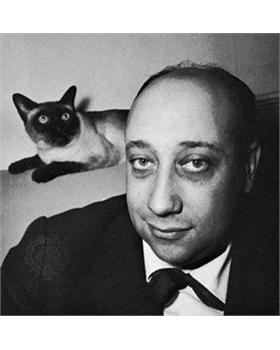 让-皮埃尔-梅维尔