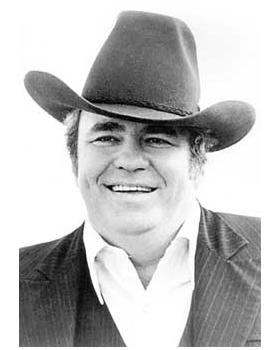 霍伊特-阿克斯顿