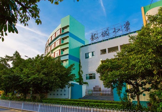 深圳龙岗区小学排名_深圳龙岗区育贤小学(3)